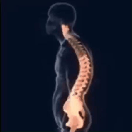 Correcteur de Posture ergonomique: Réajustez votre colonne en 30 jours et retrouvez votre bien-être