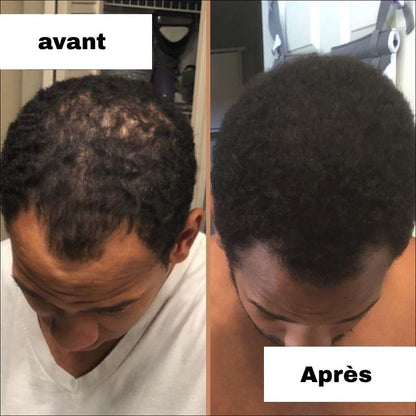 Romarin vitalité croissance naturelle